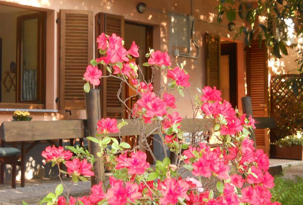 B&B Il Cortile Malpensa Casorate Sempione ห้อง รูปภาพ