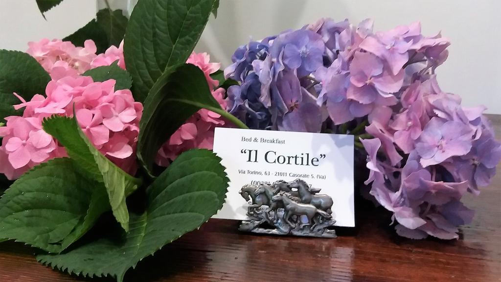 B&B Il Cortile Malpensa Casorate Sempione ภายนอก รูปภาพ